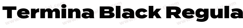 Termina Black Regular字体转换